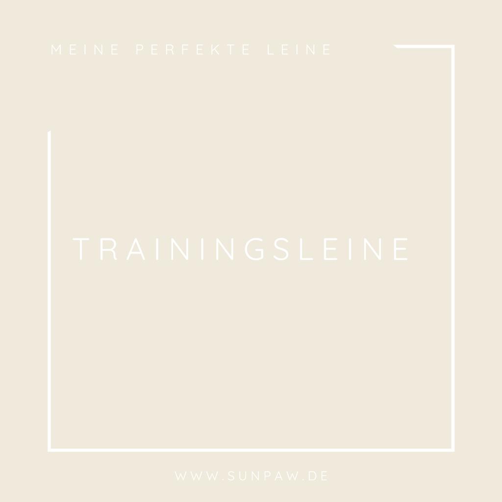 Trainingsleine "Erziehung leicht gemacht"